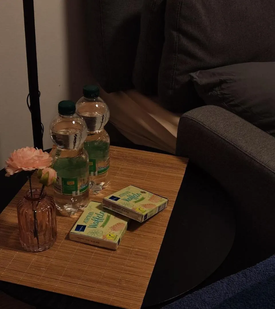 Luxurious Studio In Mitte Next To The Berlin Central Train Station Hauptbahnhof公寓 公寓